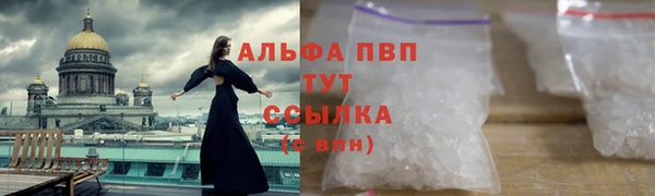 гашик Баксан