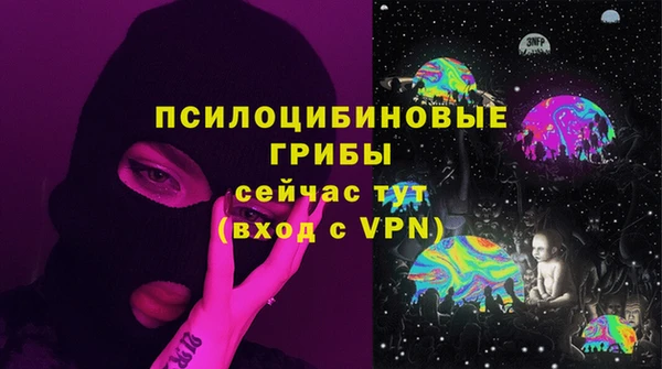 гашик Баксан