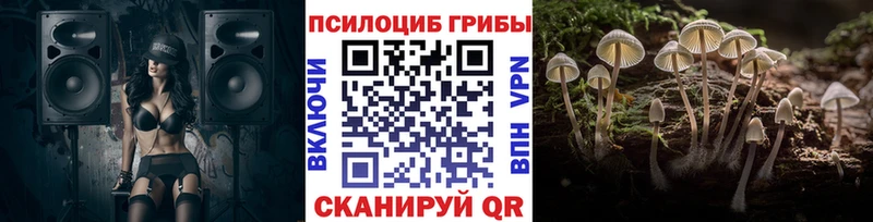 shop какой сайт  Белово  Галлюциногенные грибы Magic Shrooms 